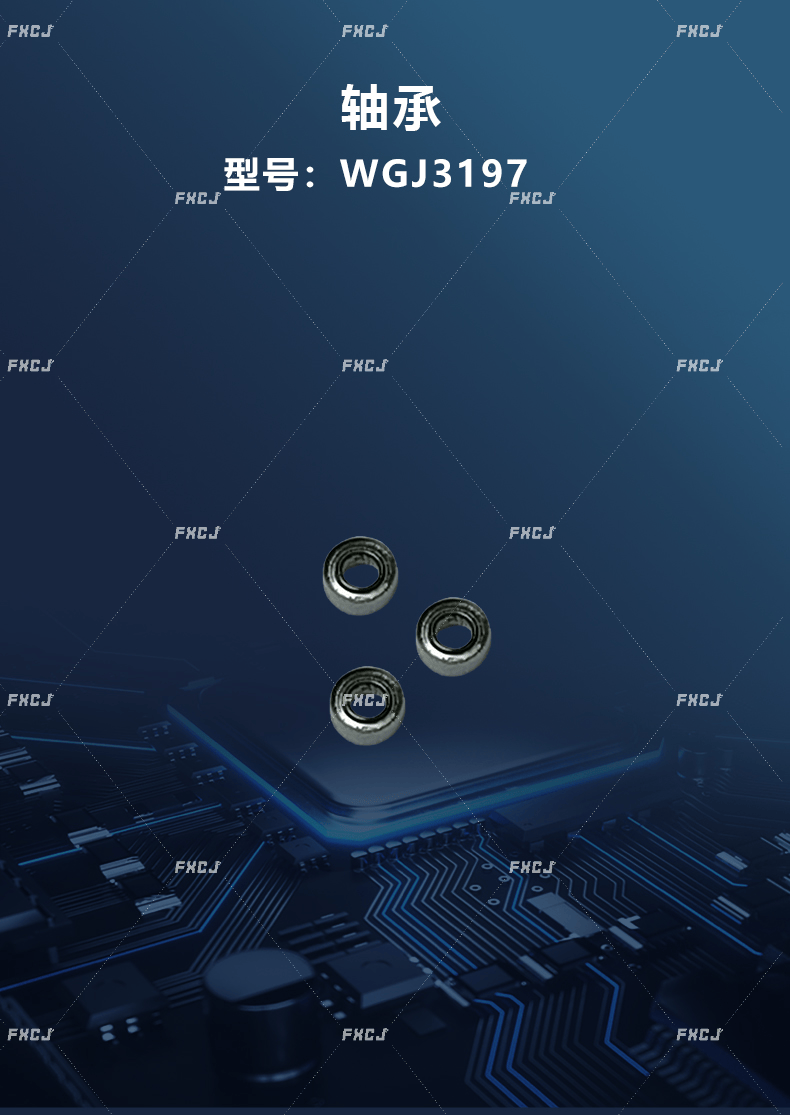 WGJ3197軸承/WGJ3198軸承(圖2)