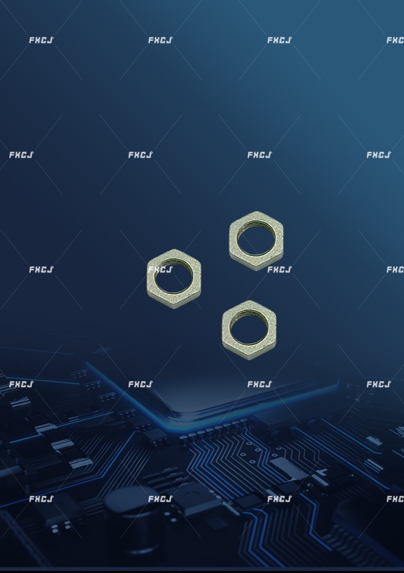 活塞桿螺母(圖2)